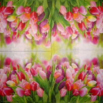 118 Tulips - 3-ply - Ambiente